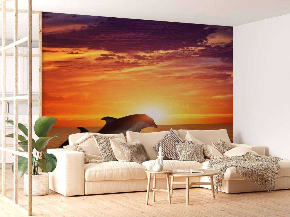 Delfiner i aftensolen