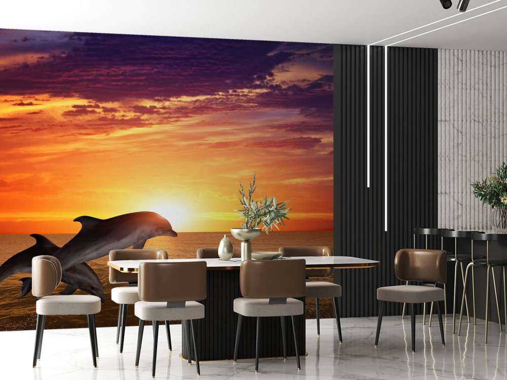 Delfiner i aftensolen