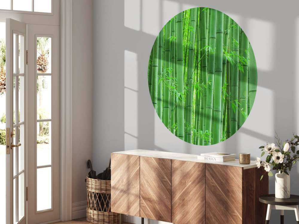 Nærbillede af bambusskov