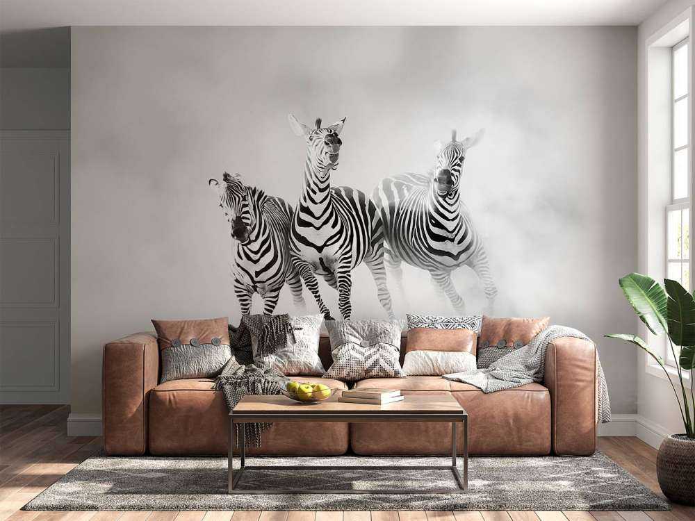 Zebraer