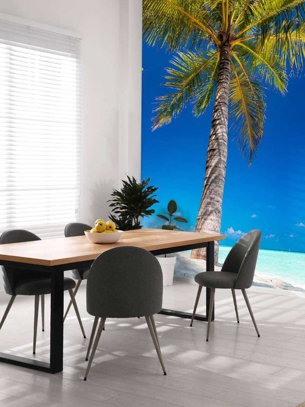 Palme på maldiverne