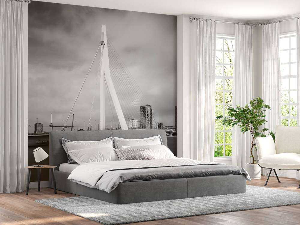 Erasmus bro Rotterdam