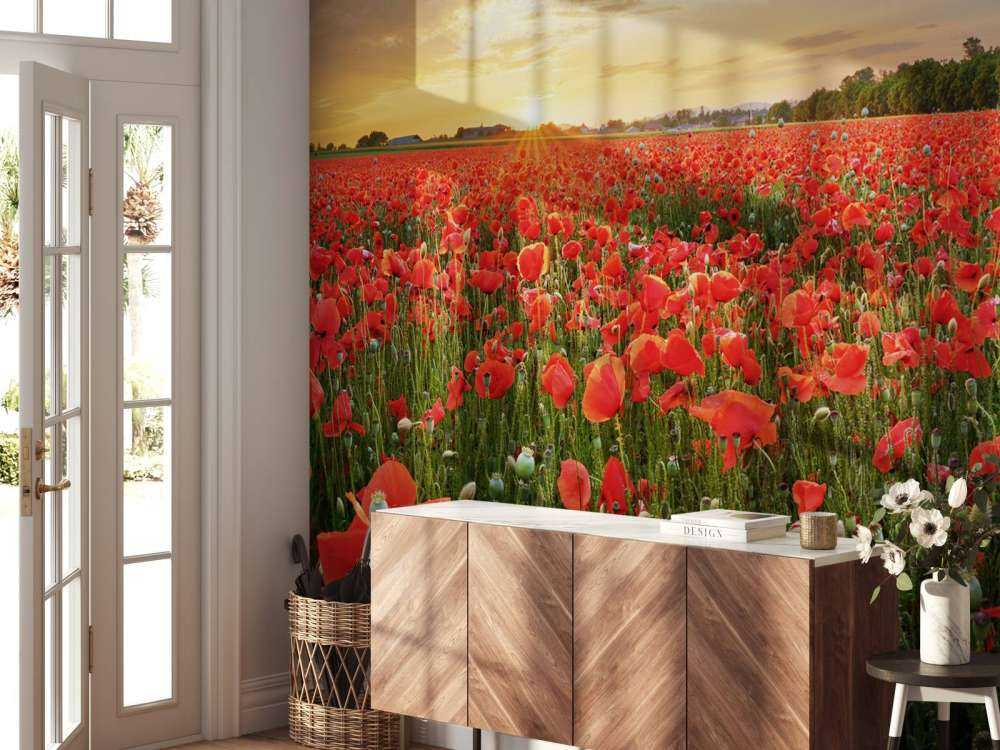 Solnedgang med valmuer