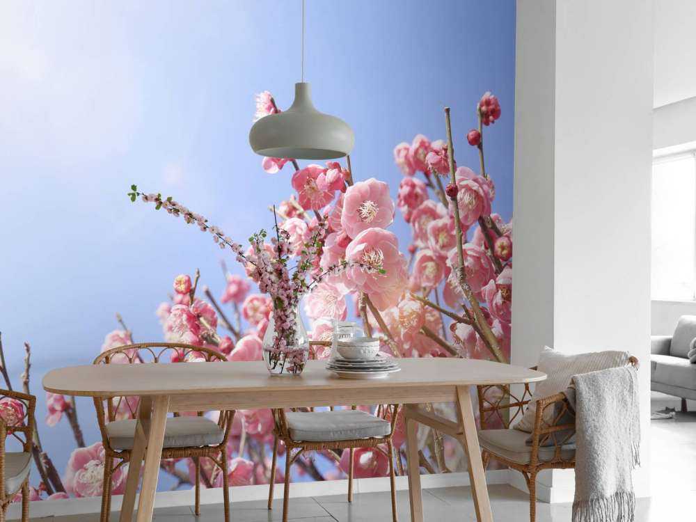 Blomstrer med blå himmel