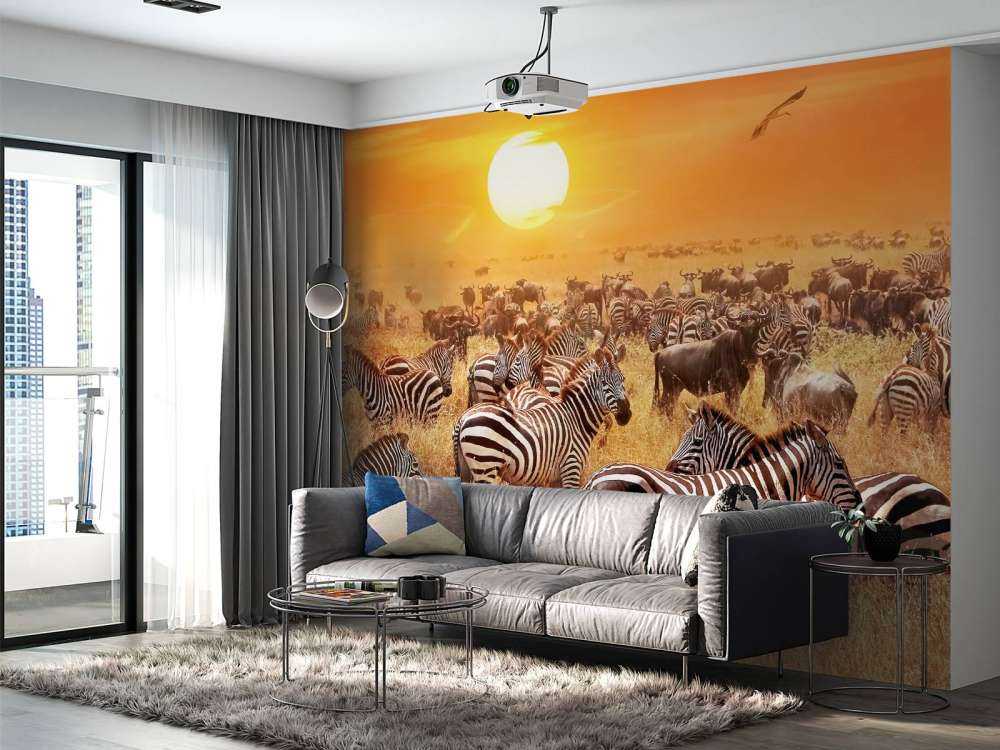 Savanna sol med zebraer
