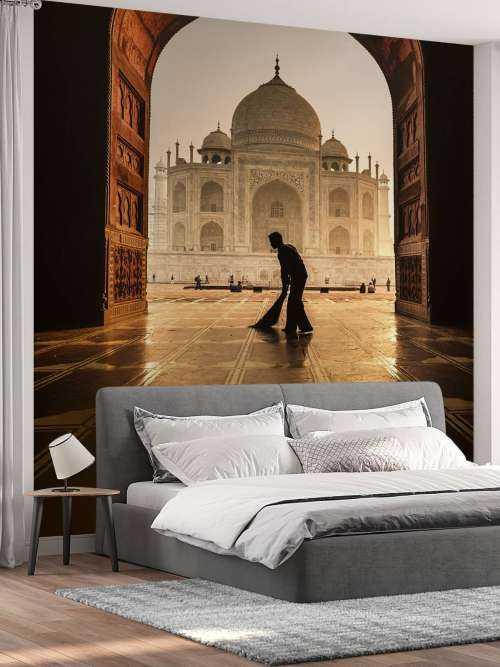 Taj mahal cleaner
