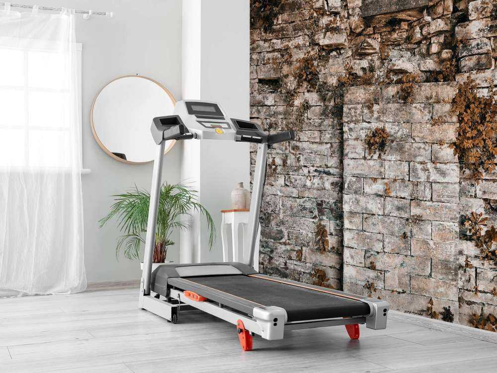 Vegetationsklædt væg om efteråret