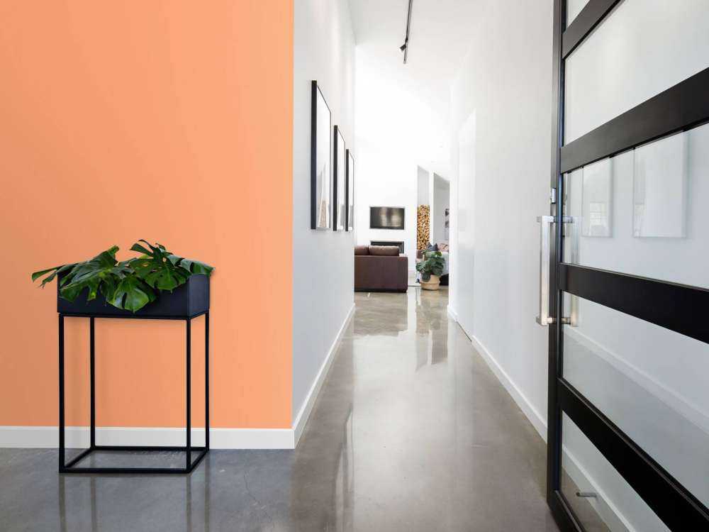Pink orange