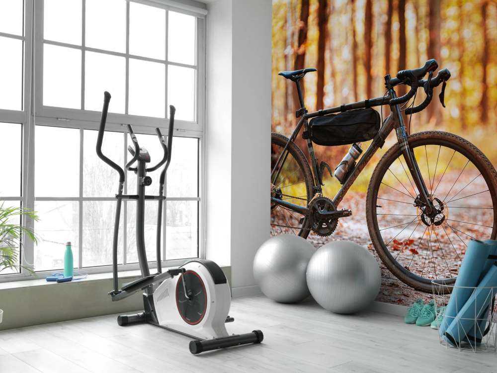 Cykel i efteråret