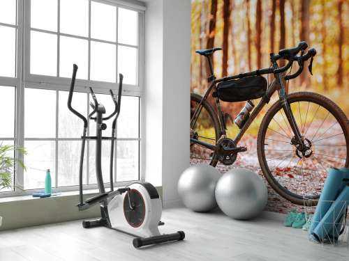 Cykel i efteråret