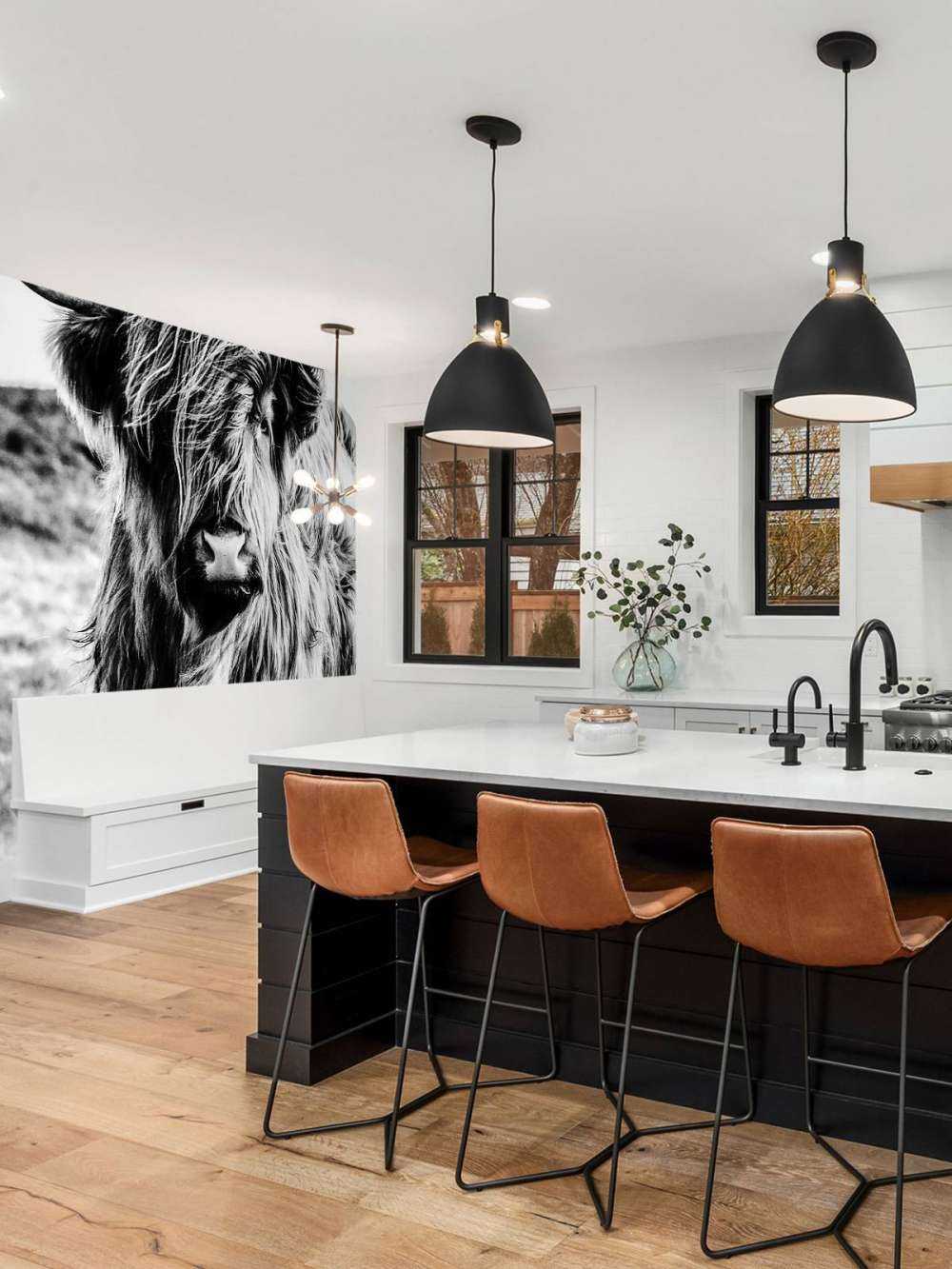 Scottish højlander i sort og hvid