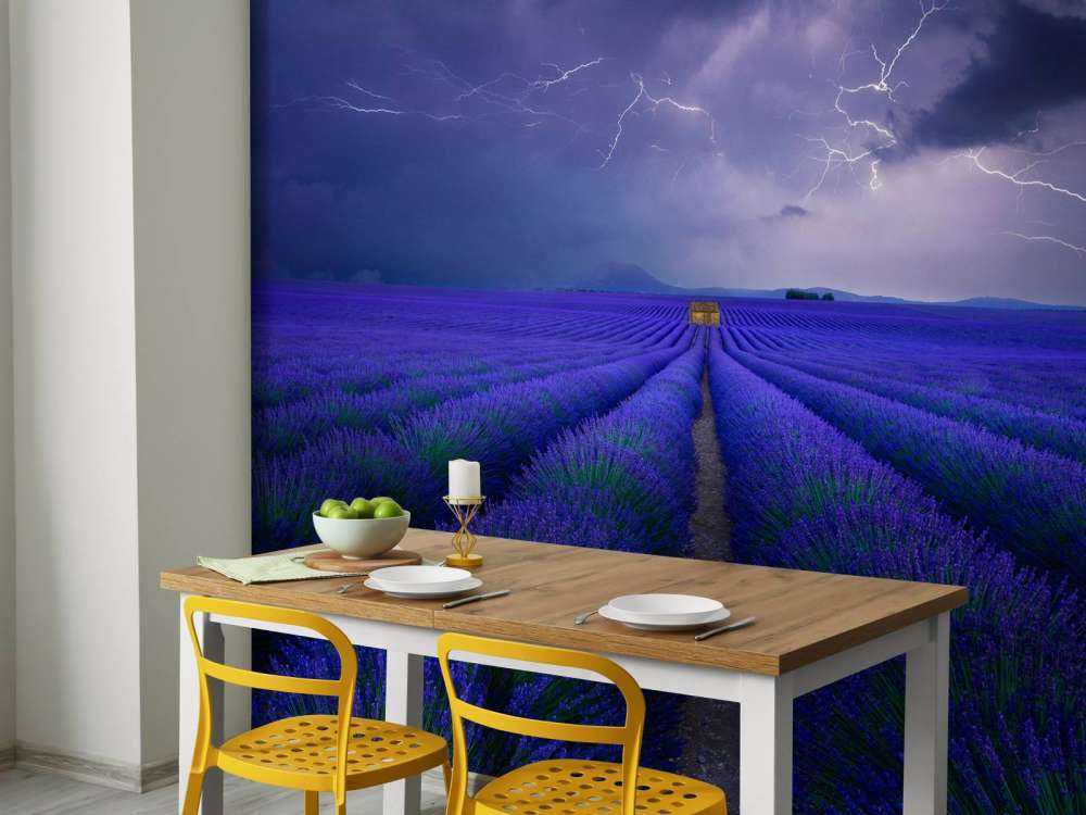 Wetter im Lavendelfeld