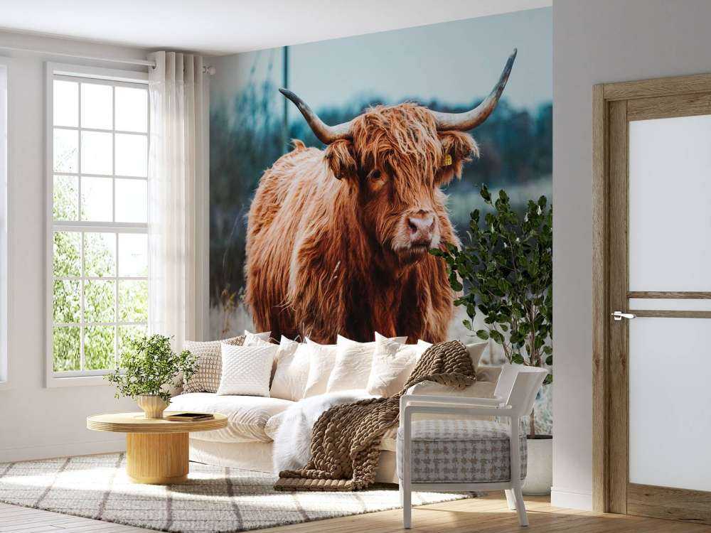 Skotsk hoglandare i skogen