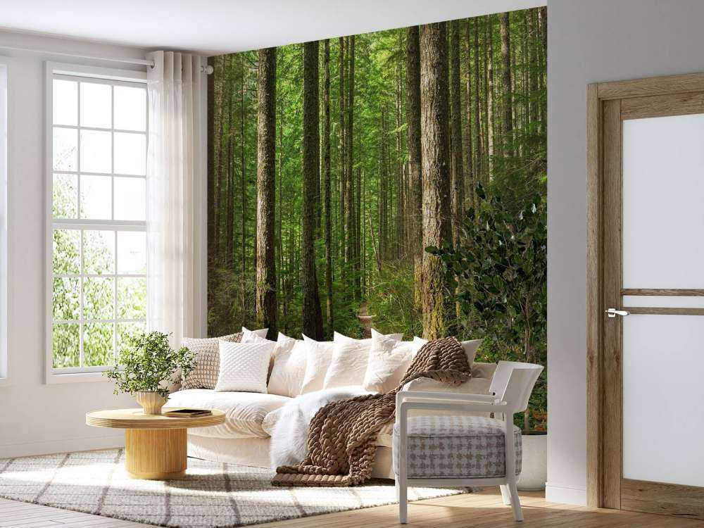 Stigen i skogen