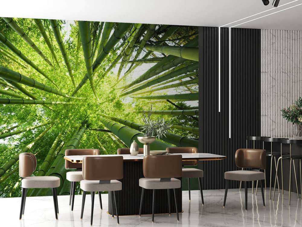 Bambu