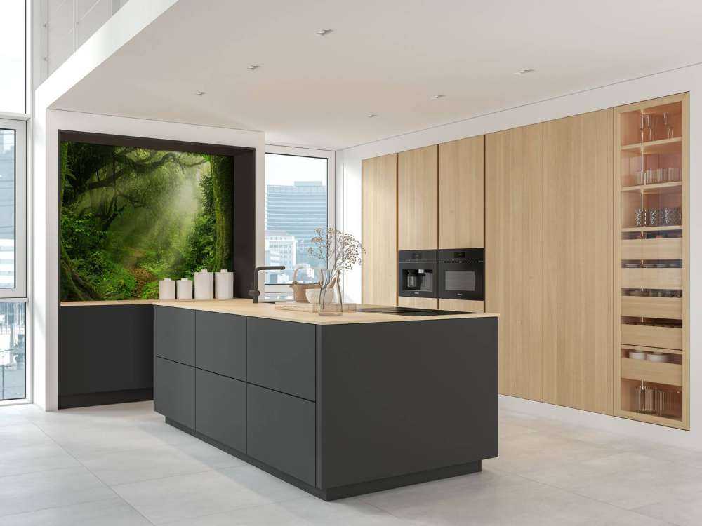 Djungel med solstrålar