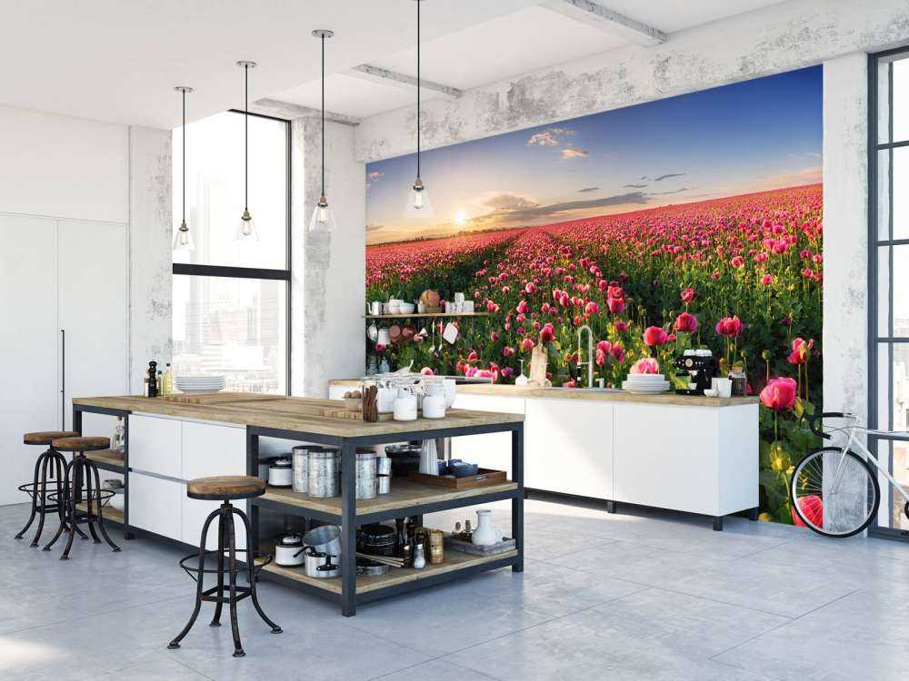 Fält med rosa vallmo