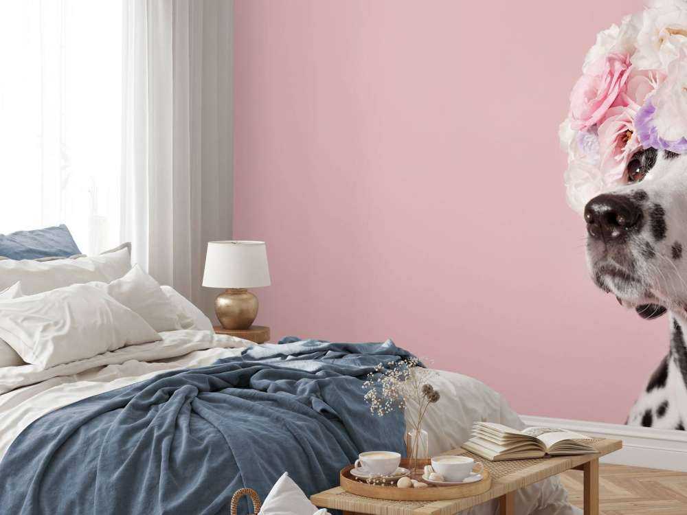 Dalmatinare med färgade blommor