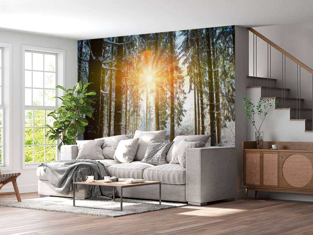 Solljus i vinterskog