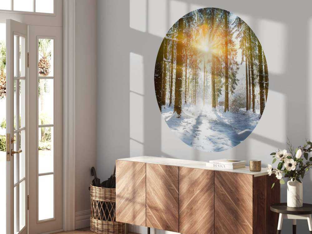 Solljus i vinterskog