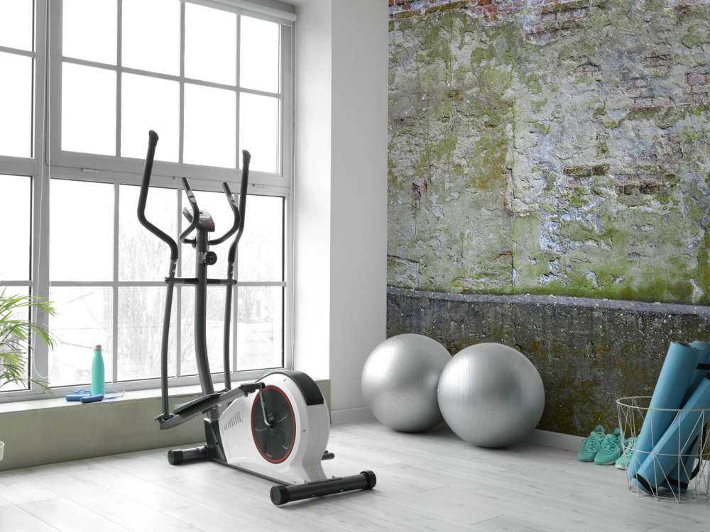 Mossa på gammal vägg