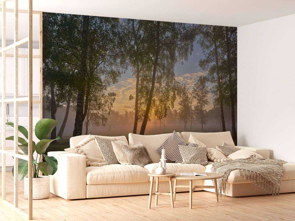 Soluppgång vid björkarna