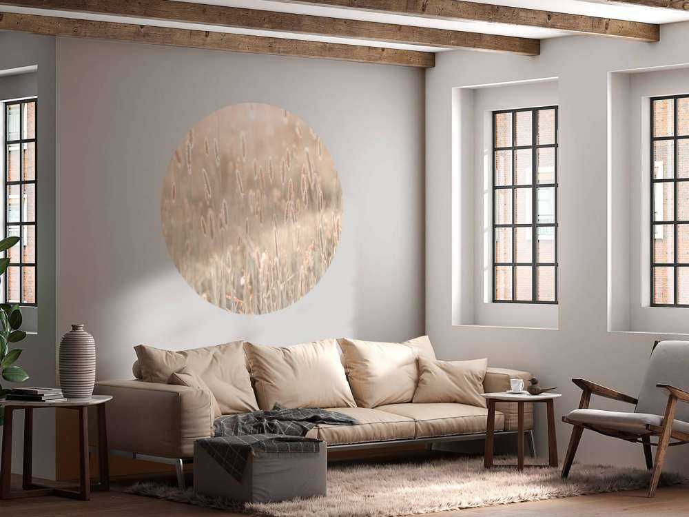 Ängen i solnedgången