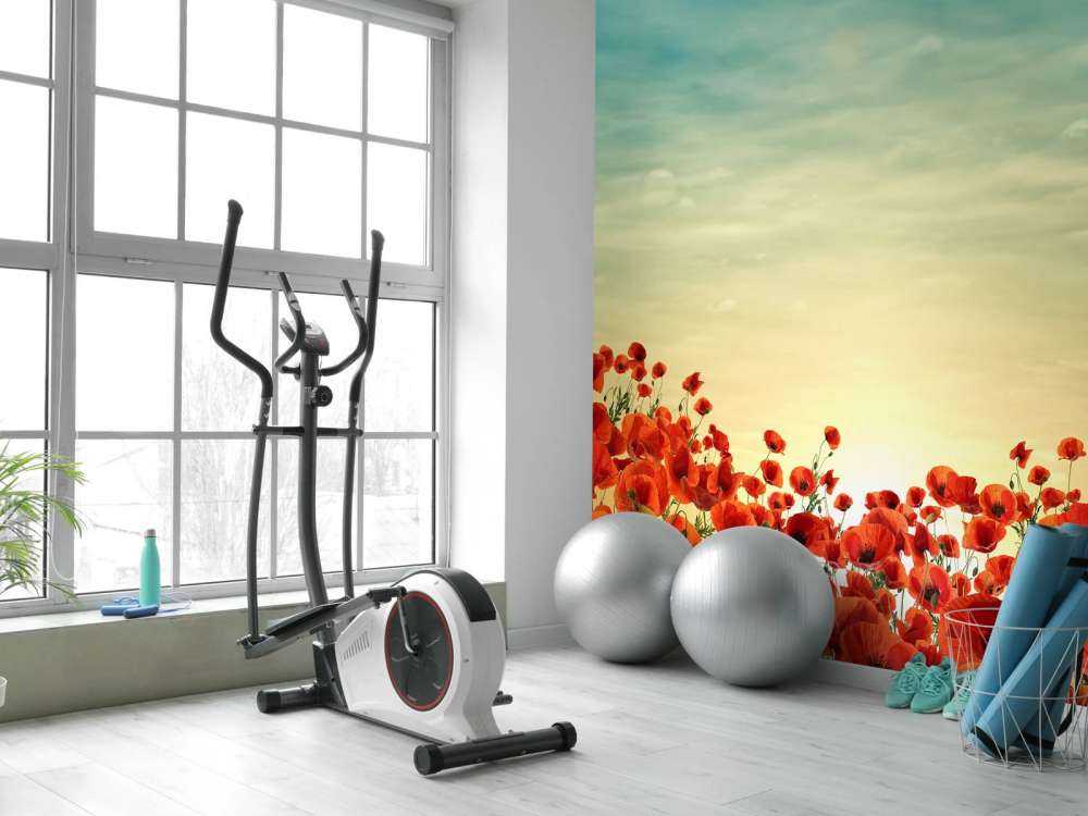 Vallmor i solnedgången