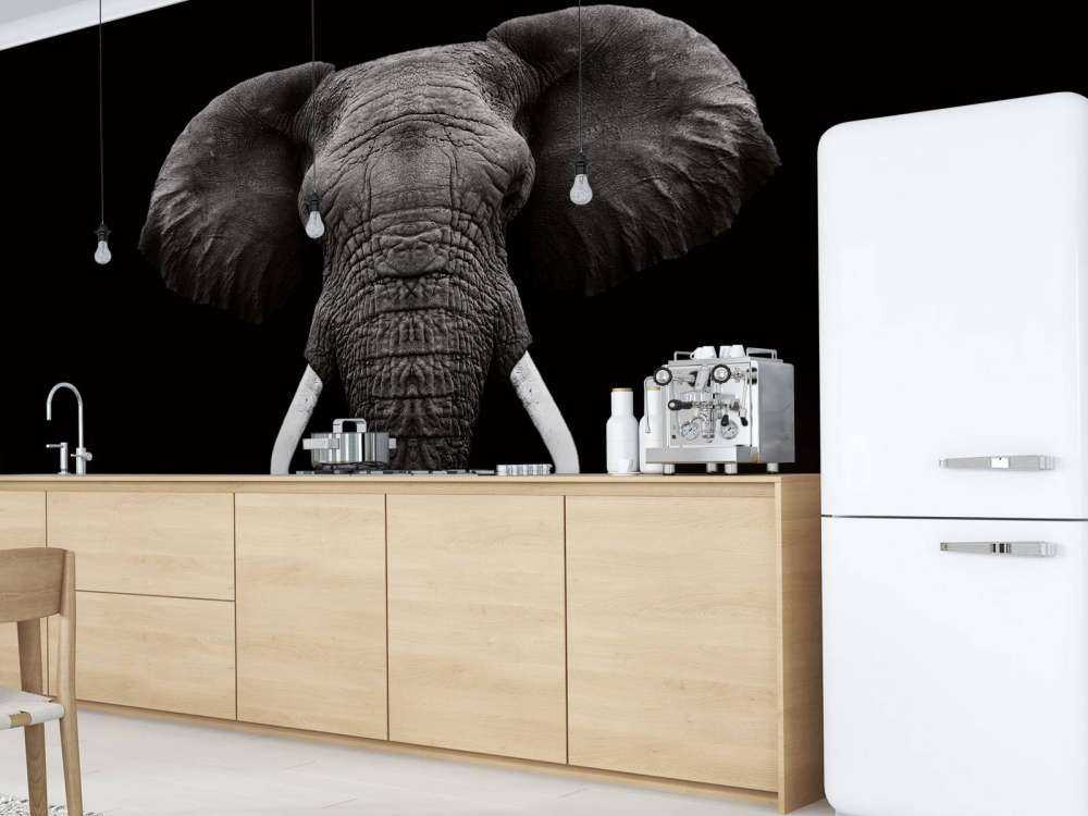 Dark Elephant