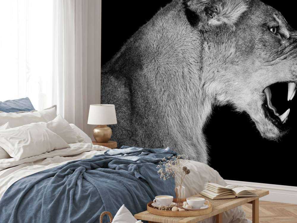 Lejoninnans sidovy svart