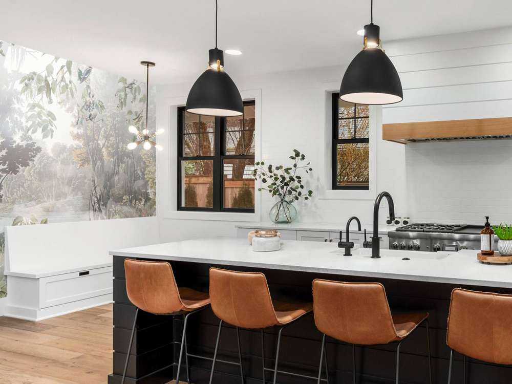 Mystiska Skogs Fåglar