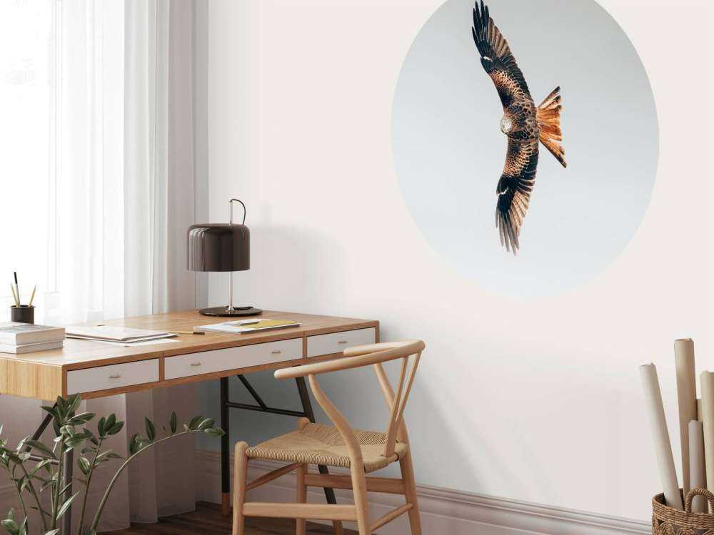 Röd drake med utbredda vingar