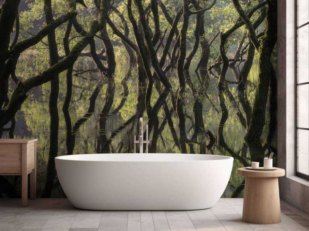 Sunken Forest