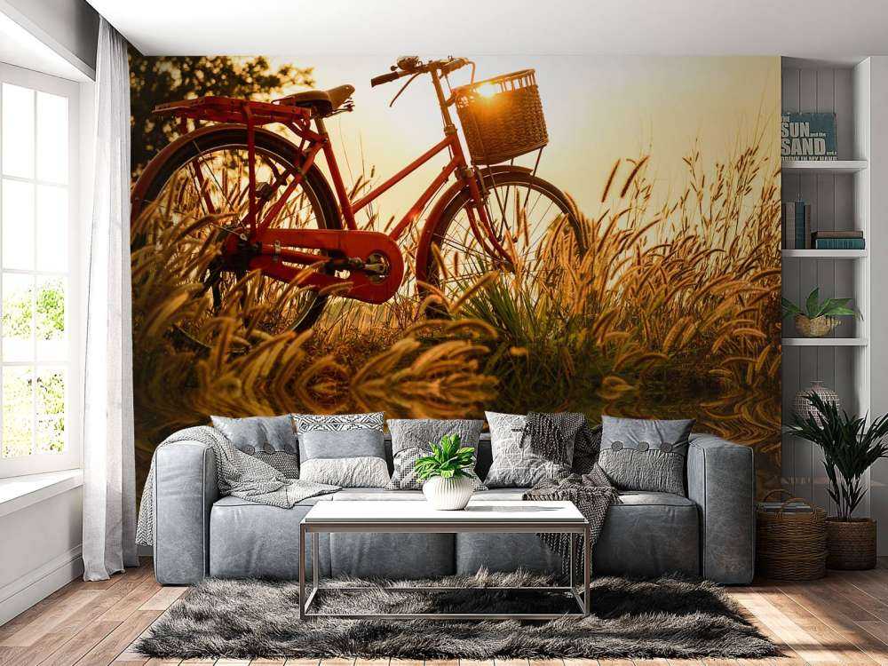 Cykel i solnedgången