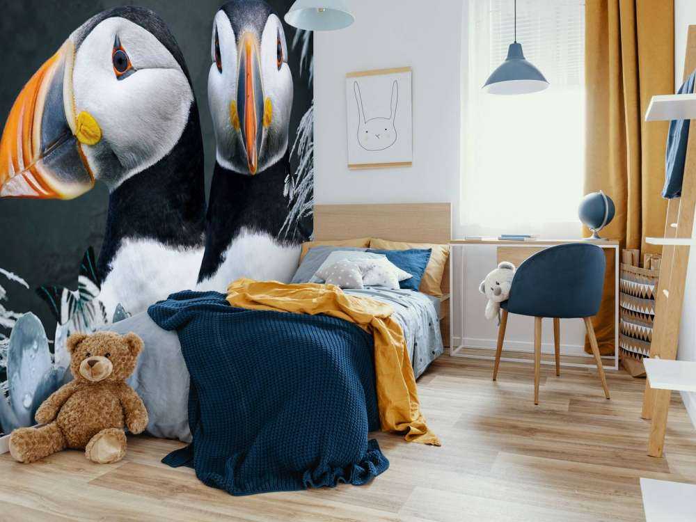 Atlantic Puffins