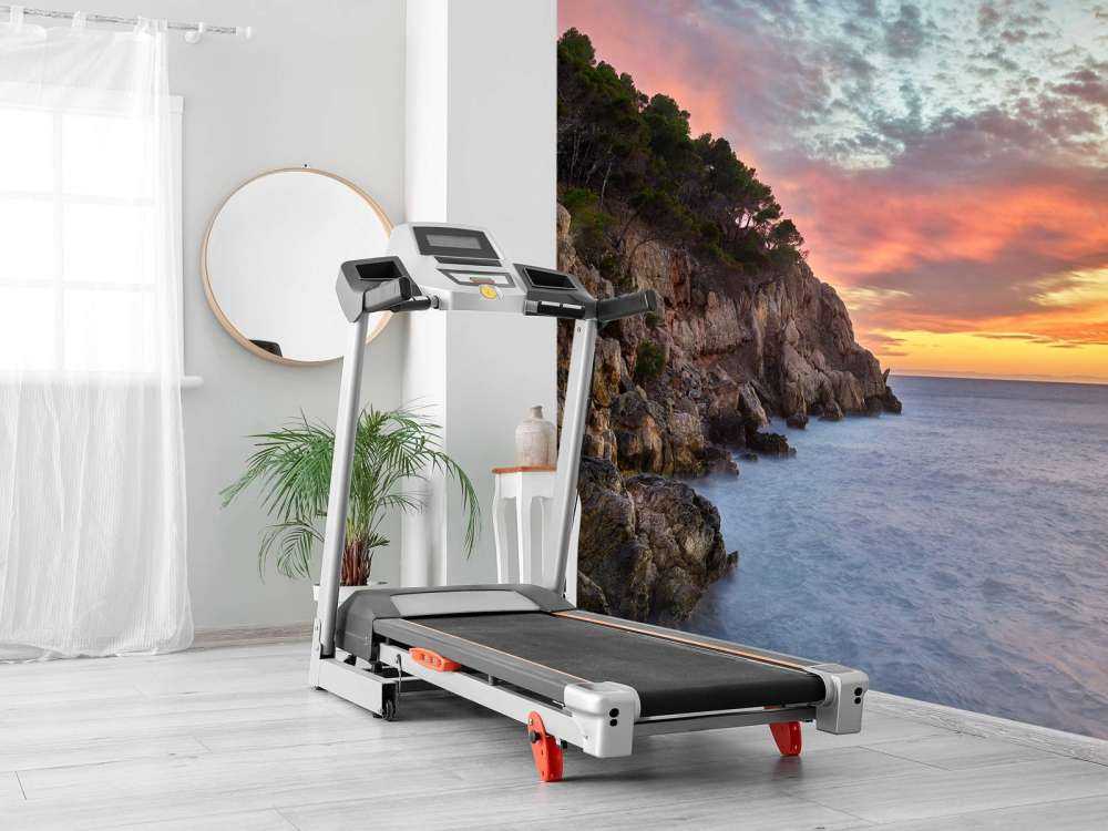 Färgrik solnedgång