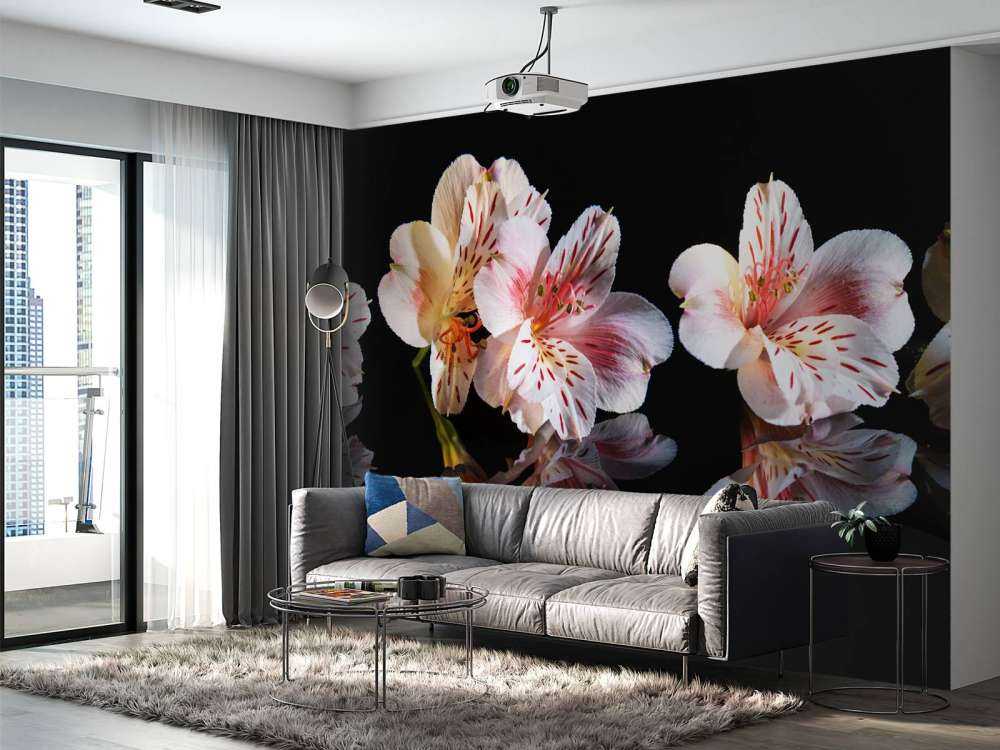 Alstroemeria blommar med reflektion