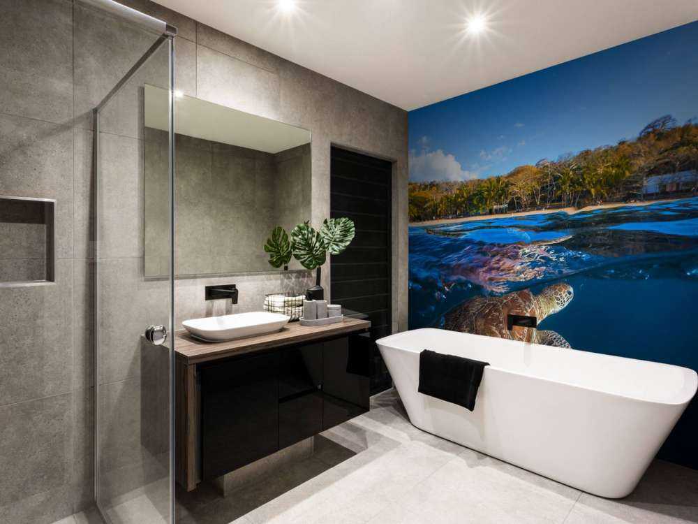 Green Turtle - Sea Turtle