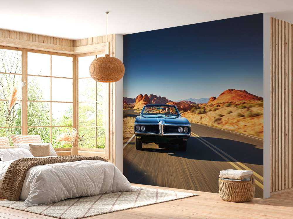 Muskelbil i et amerikansk landskapp