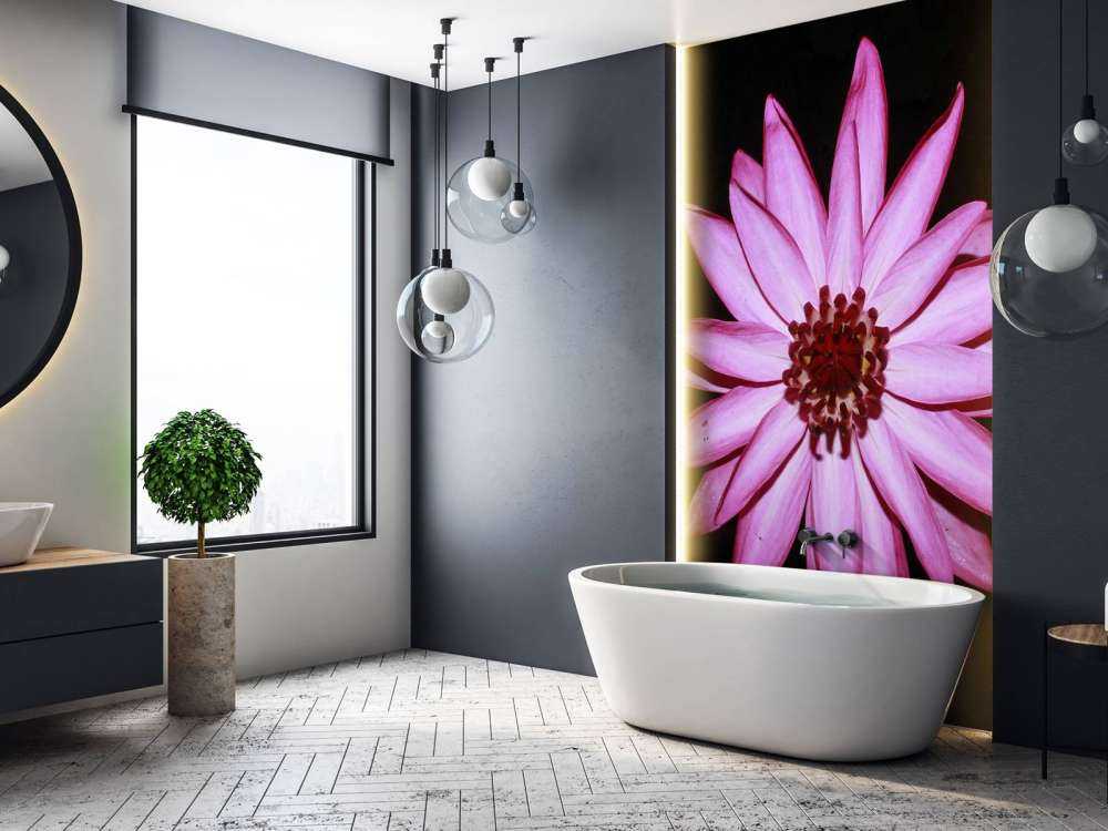 Lotusblomst ovenfra
