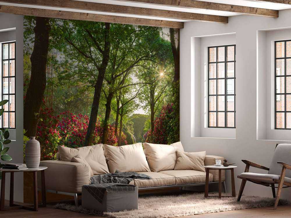 Soloppgang med sti med rododendroner