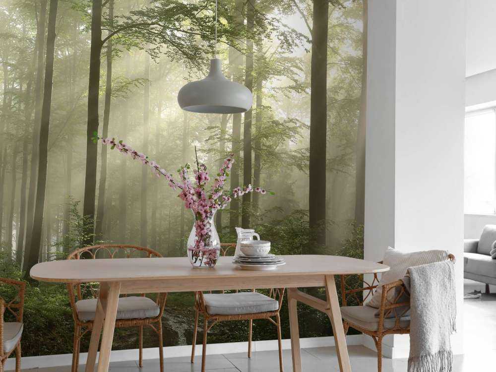 Grønn skog i tåken