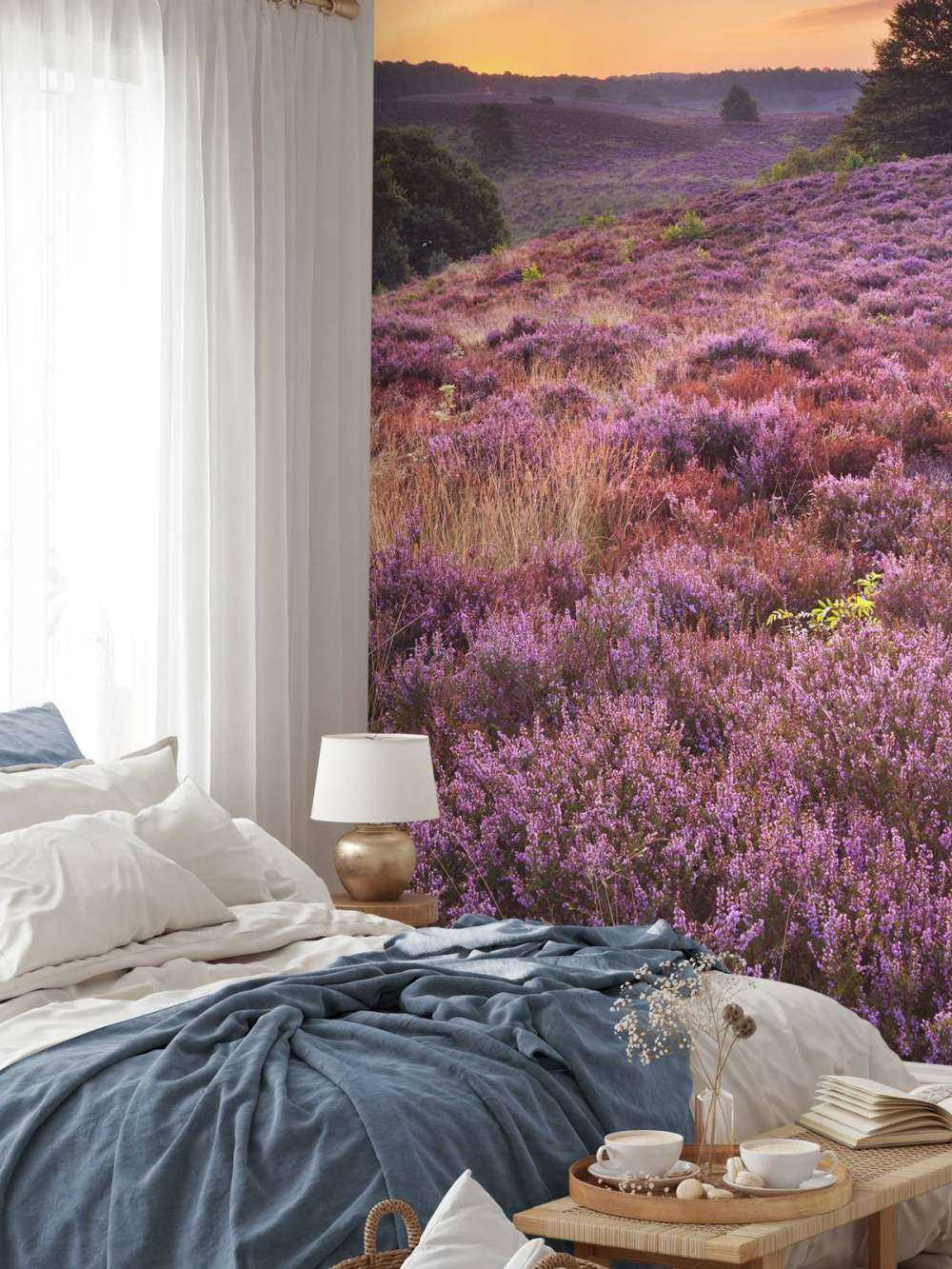 solnedgang i Posbank