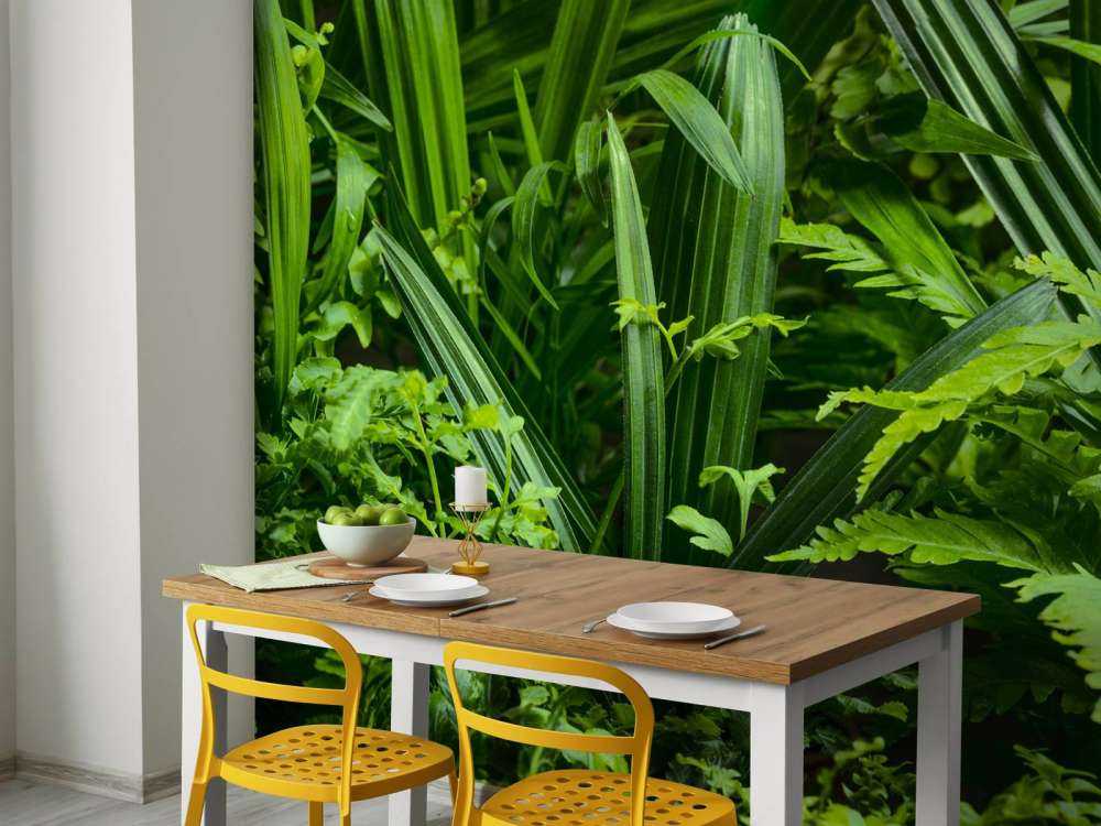 Panorama med planter