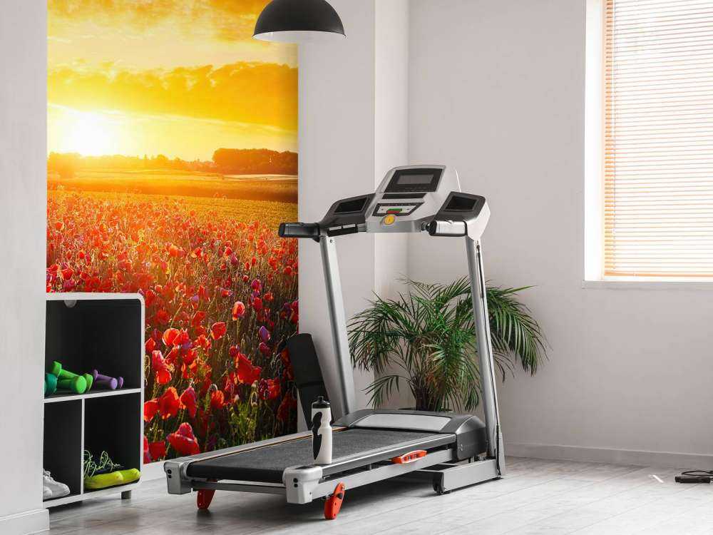 Valmuer og solnedgang