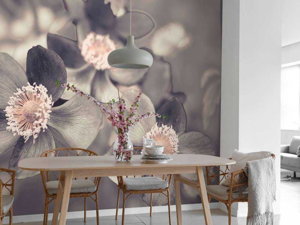 anemone blomst