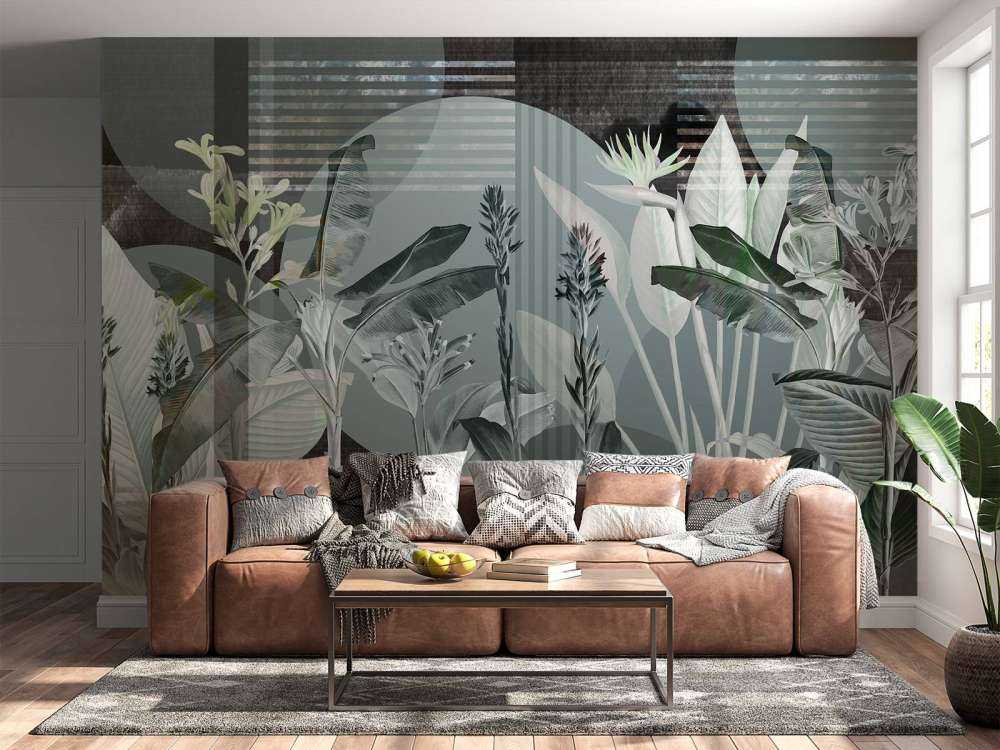 Dreams and Tropics 3