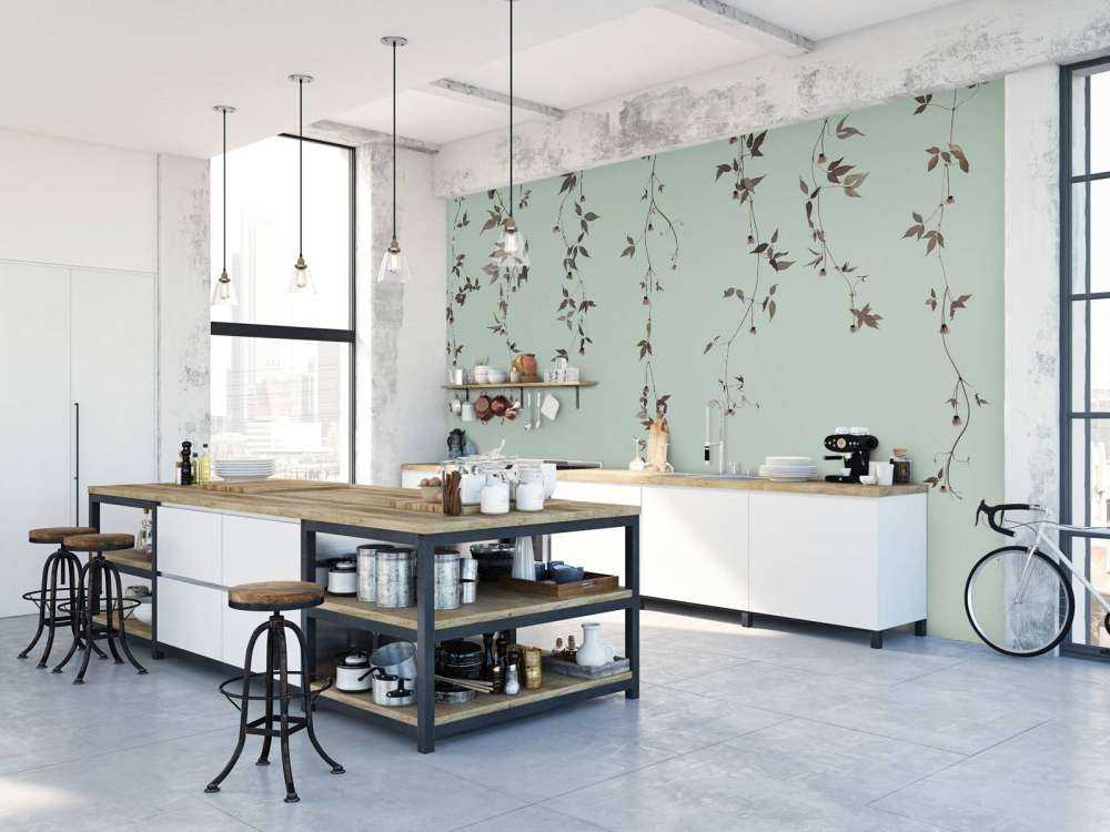 Klematiskvister på grågrønn