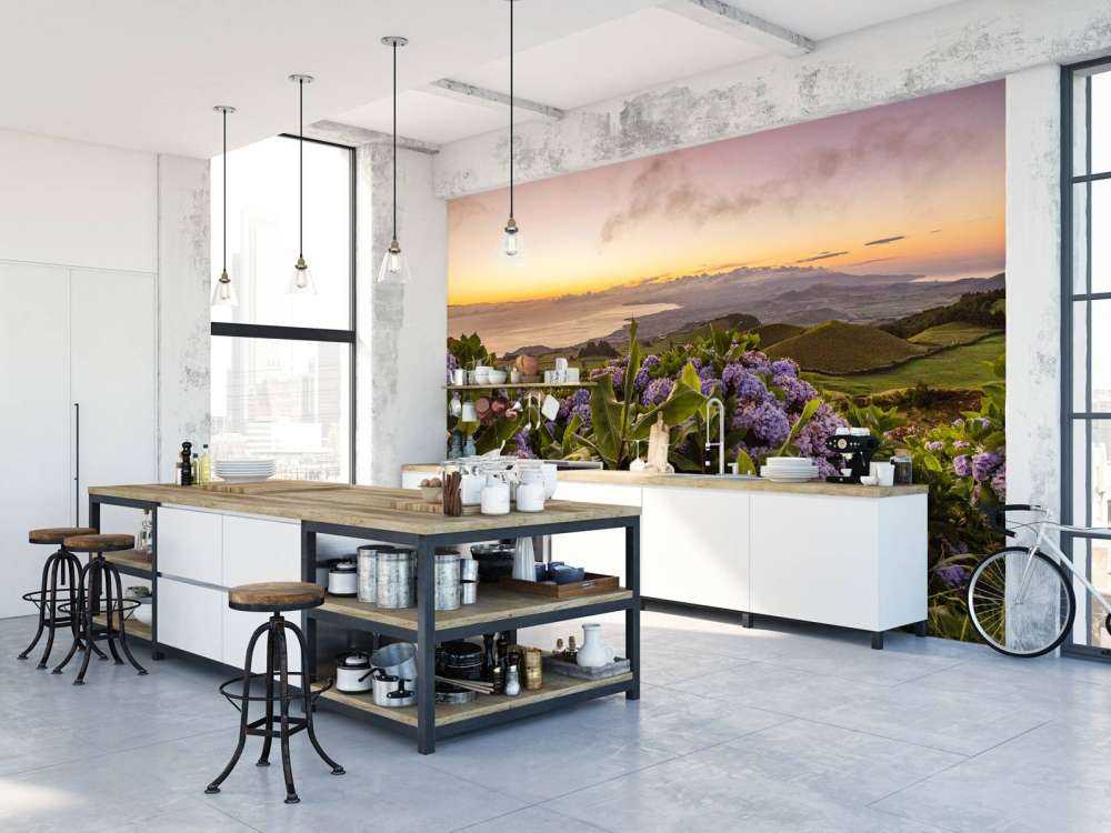 Solnedgang med hortensia