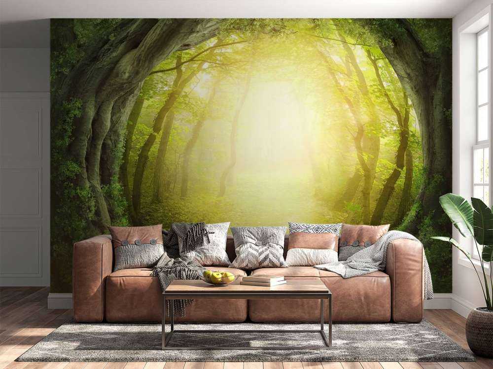 Steinsti gjennom skog